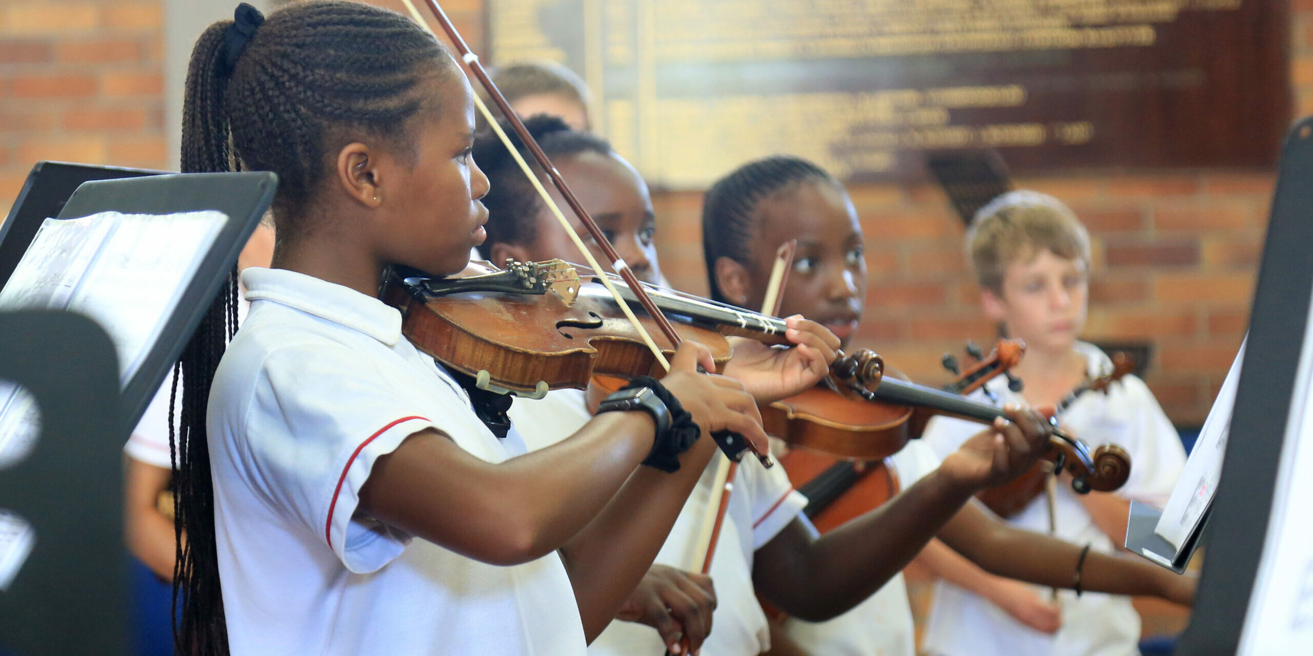 violin4